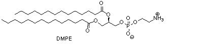 1,2-十四酰基磷脂酰乙醇胺(DMPE) (https://www.shochem.cn/)  第1张
