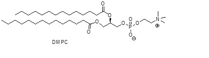 二肉豆蔻酰磷脂酰胆碱(DMPC)