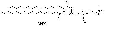 二棕榈酰磷脂酰胆碱(DPPC)