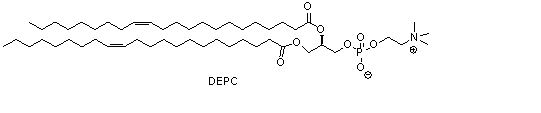 二芥酰基磷脂酰胆碱(DEPC)