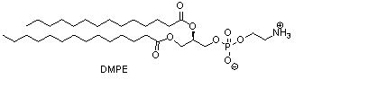 1,2-十四酰基磷脂酰乙醇胺(DMPE)