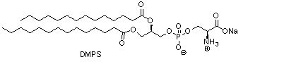 二肉豆蔻酰基磷脂酰丝氨酸钠（DMPS）