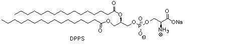 二棕榈酰基磷脂酰丝氨酸钠（DPPS）