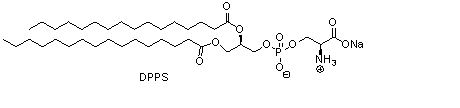 二棕榈酰基磷脂酰丝氨酸钠（DPPS）