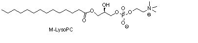 肉豆蔻酰溶血卵磷脂(M-LysoPC)