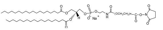 二硬脂酰基磷脂酰乙醇胺-聚乙二醇- N-羟基琥珀酰亚胺