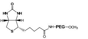 甲氧基聚乙二醇-生物素