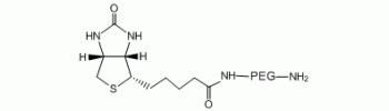 生物素-聚乙二醇-氨基