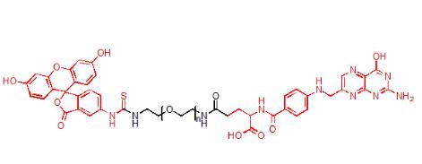 荧光素-聚乙二醇-叶酸