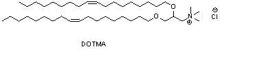 1,2-双十八烯氧基-3-甲基铵丙烷氯盐（DOTMA）