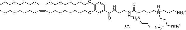 N1- [2 - （（1S）-1 - [（3-氨基丙基）氨基] -4-[二（3-氨基丙基）氨基]丁基甲酰胺基）乙基] -3,4-二[油烯基氧基] - 苯甲酰胺