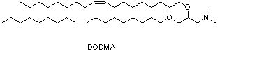 1,2-二油醇-3-二甲基氨基-丙烷（DODMA）