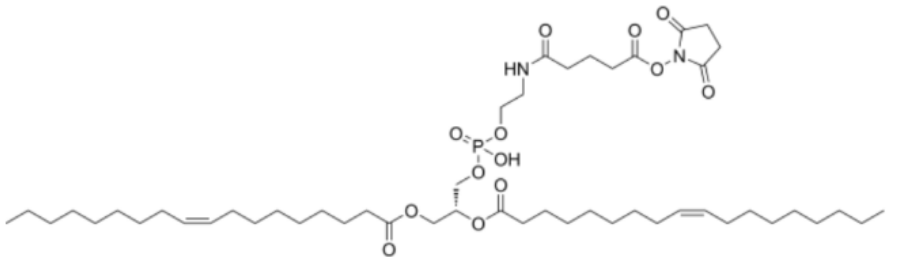 DOPE-NHS 第1张-上海朗旭生物科技有限公司 DOPE-NHS (https://www.shochem.cn/) 第1张